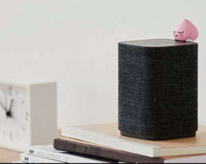 AI 스피커를 뿌려대는 이유는 결국 ‘홈 IoT’ 시장
